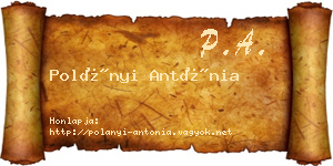 Polányi Antónia névjegykártya